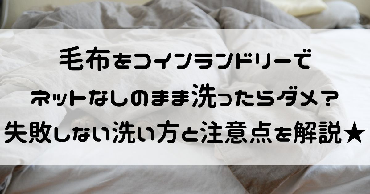毛布 コインランドリー ネットなし