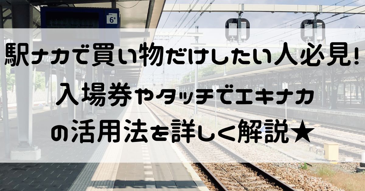 駅ナカ 買い物だけしたい